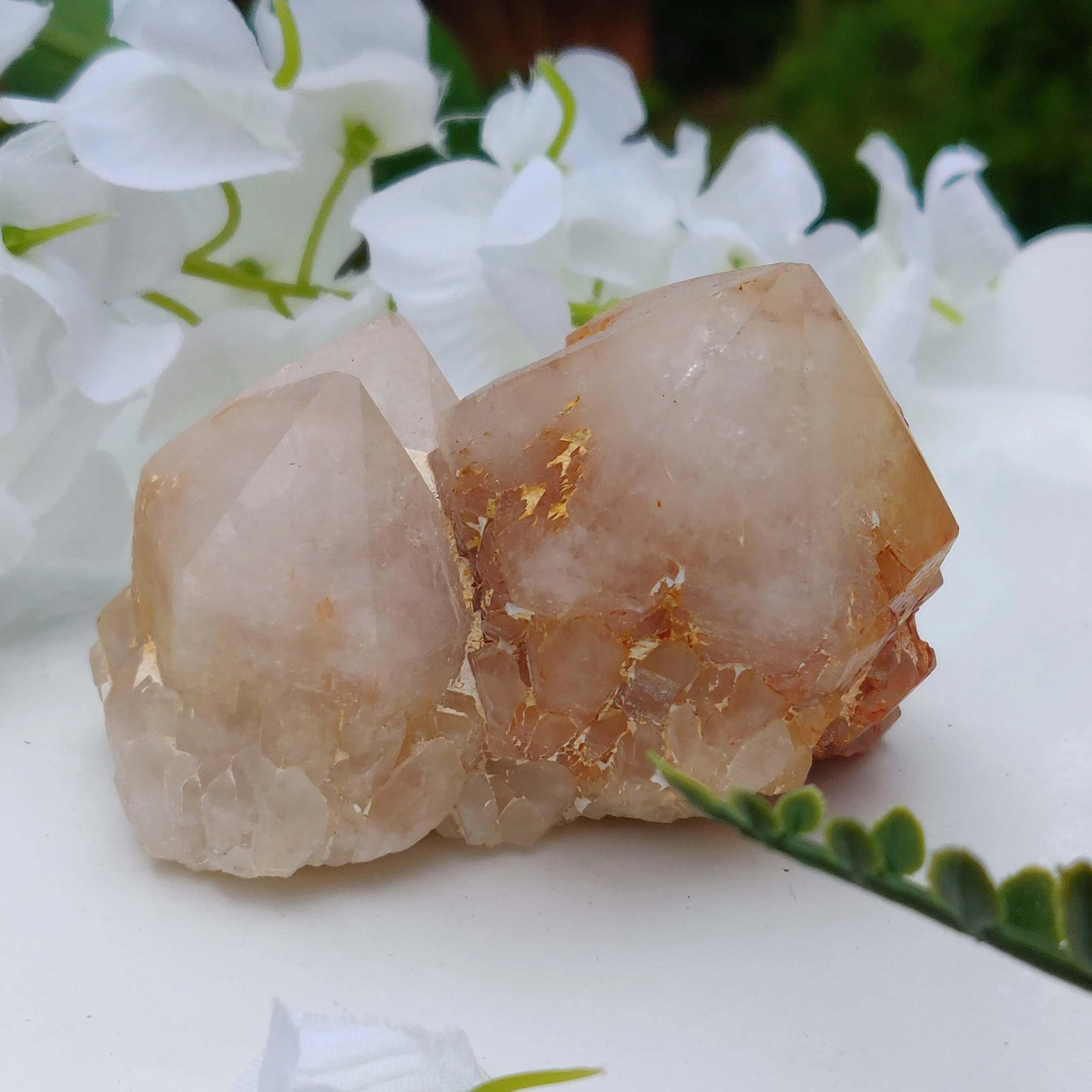 Candle Quartz Cluster #1