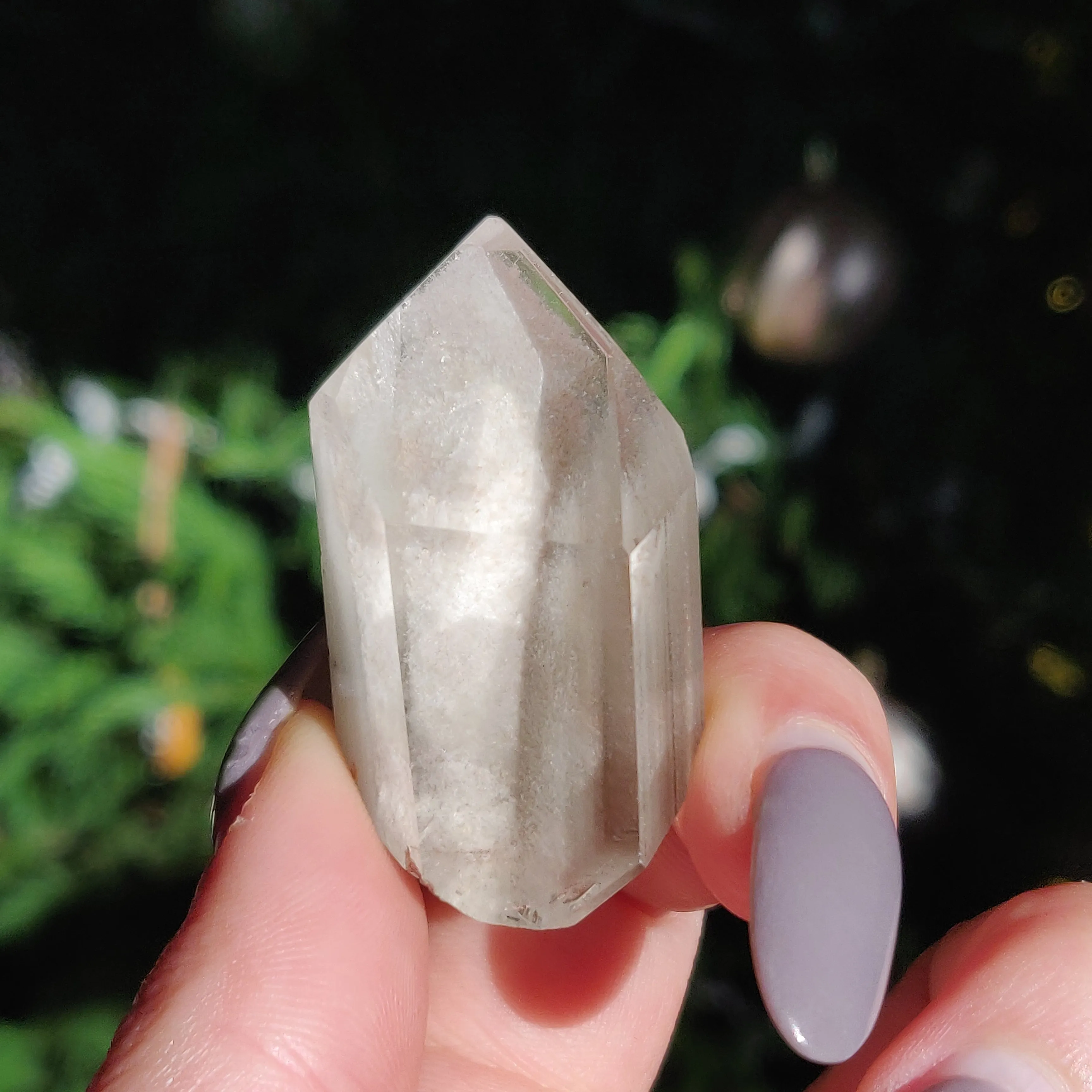 Garden Quartz Point, Lodolite Point (#9)