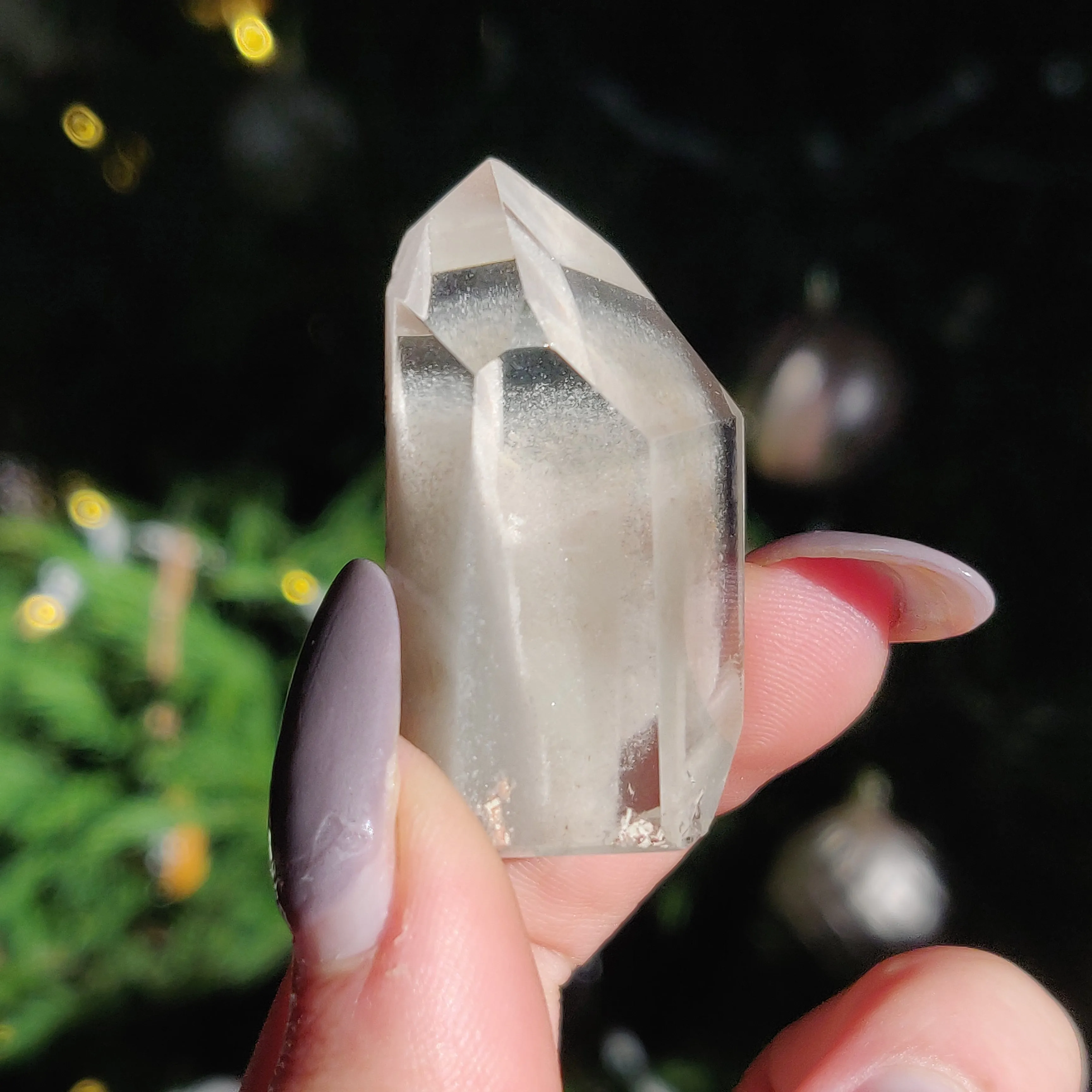 Garden Quartz Point, Lodolite Point (#9)