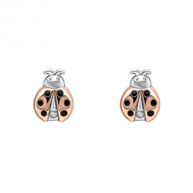 Ladybird Stud Earrings With Diamond E6433