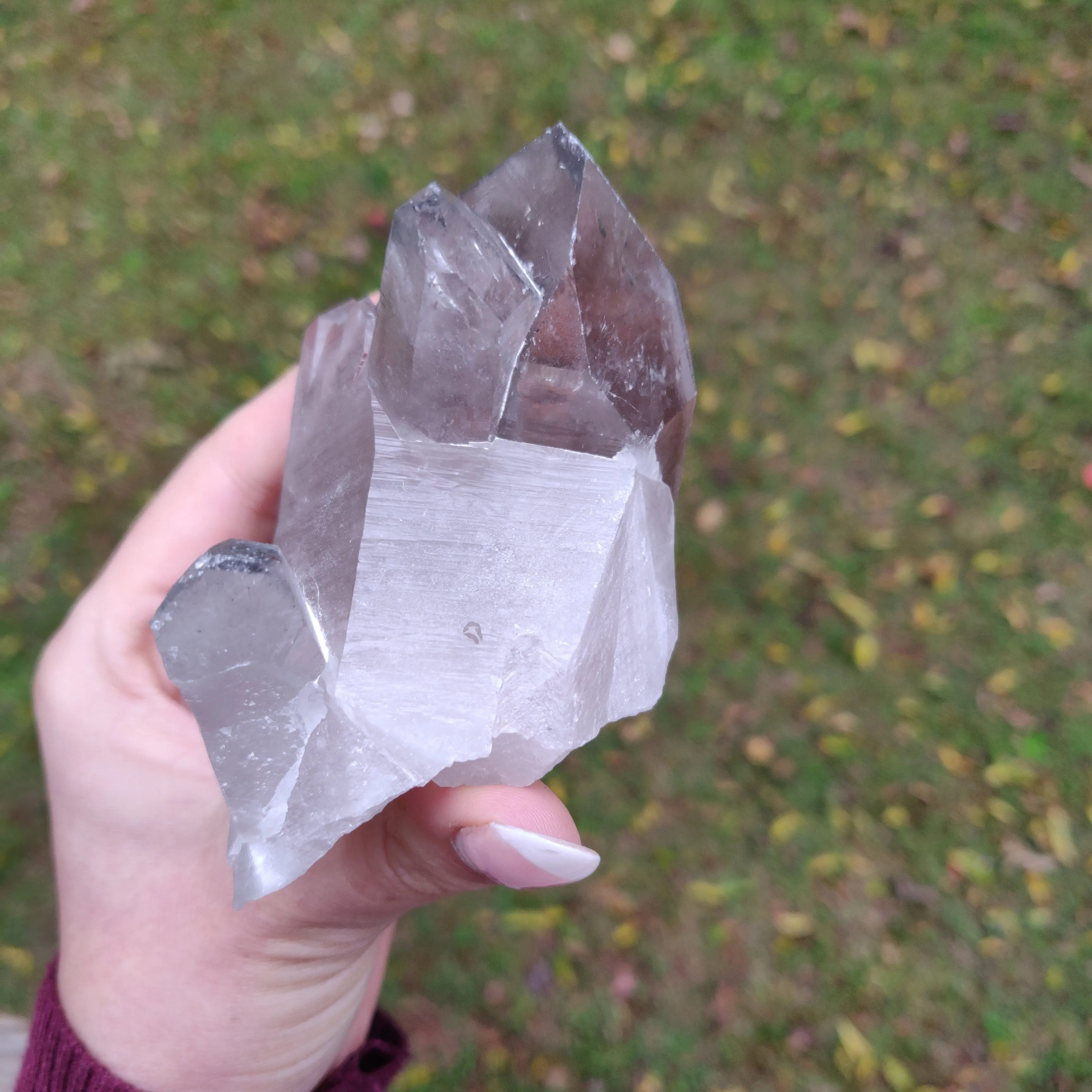 Lemurian Smoky Quartz Point (#11)