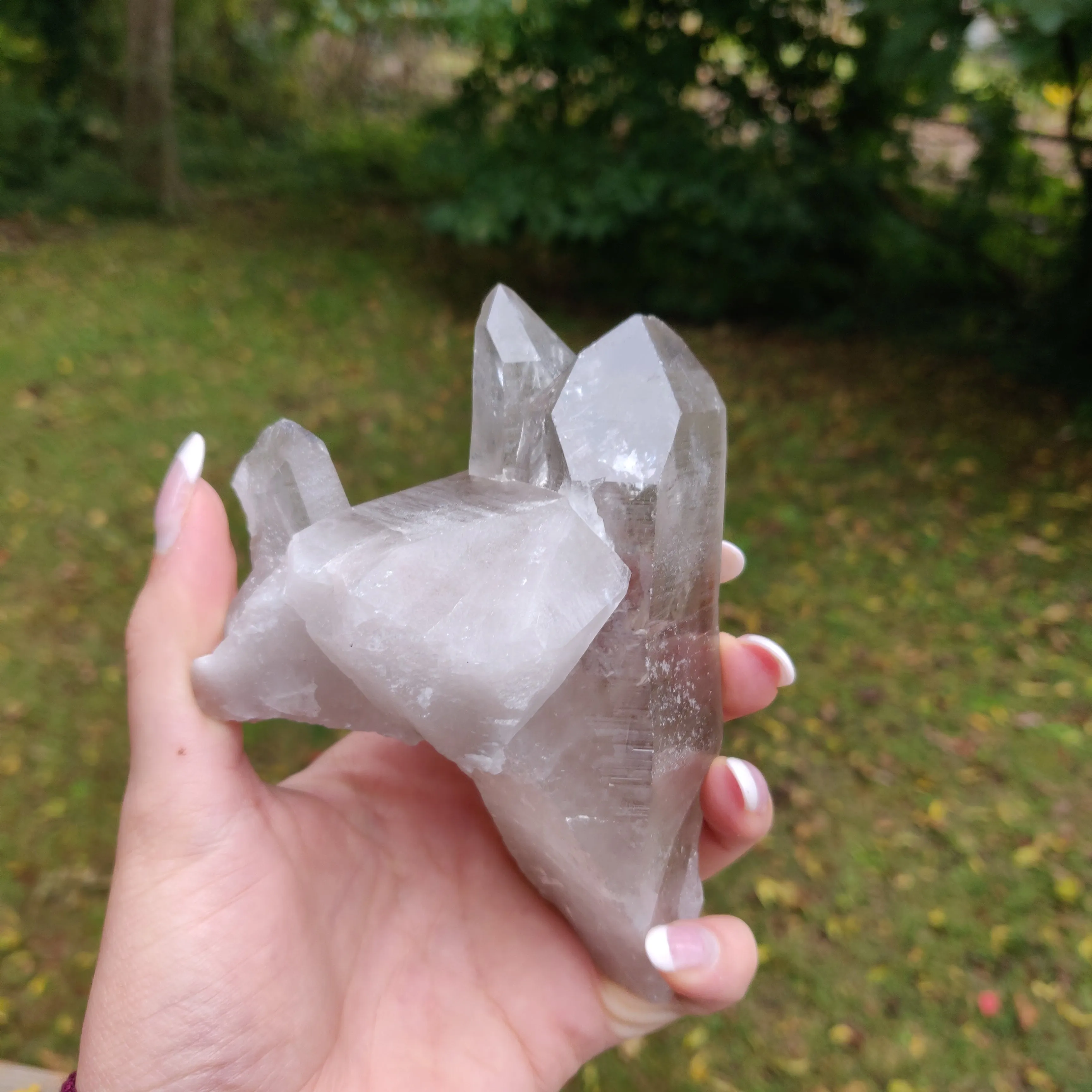 Lemurian Smoky Quartz Point (#11)