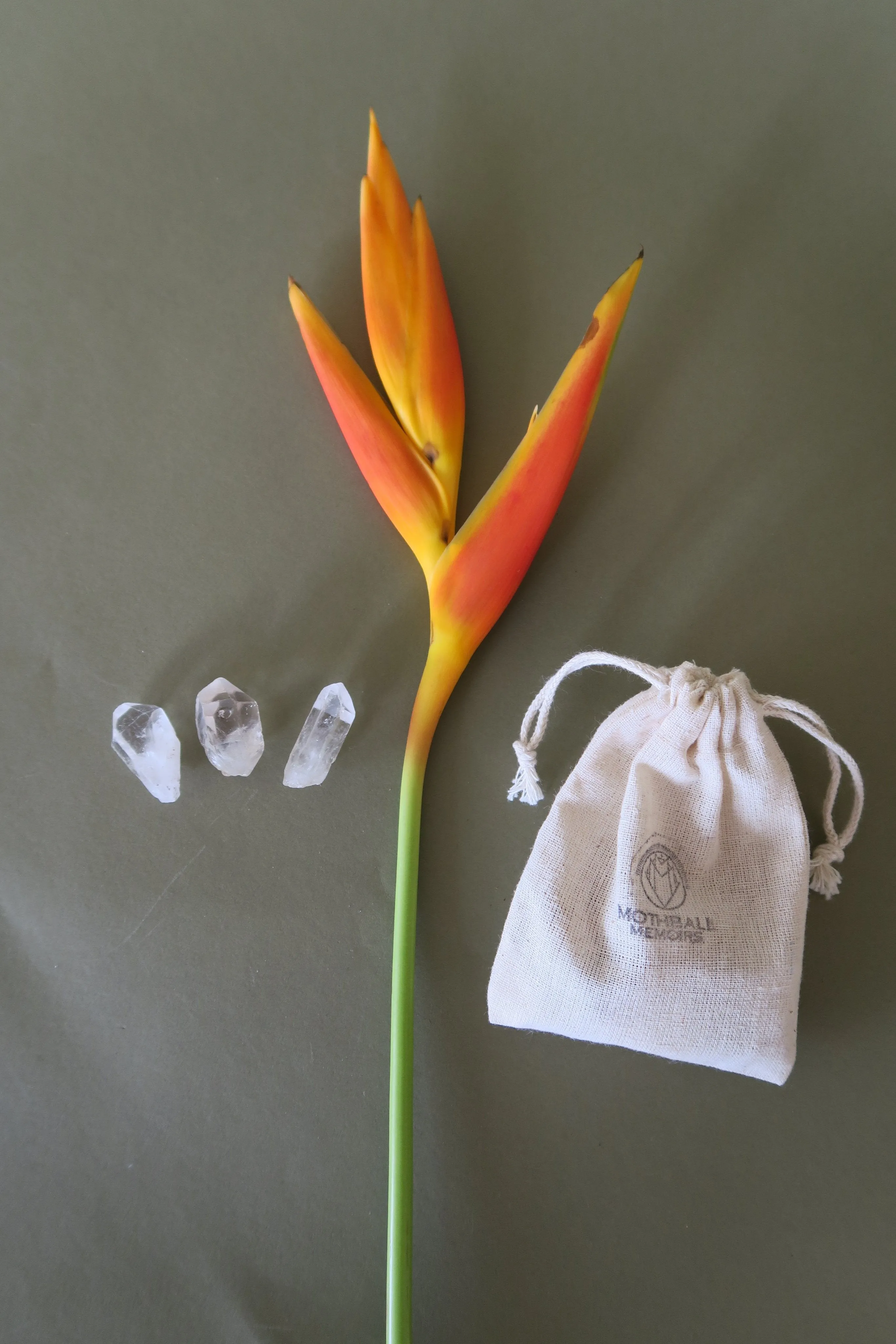 Mini Quartz Crystal Points Trio Set