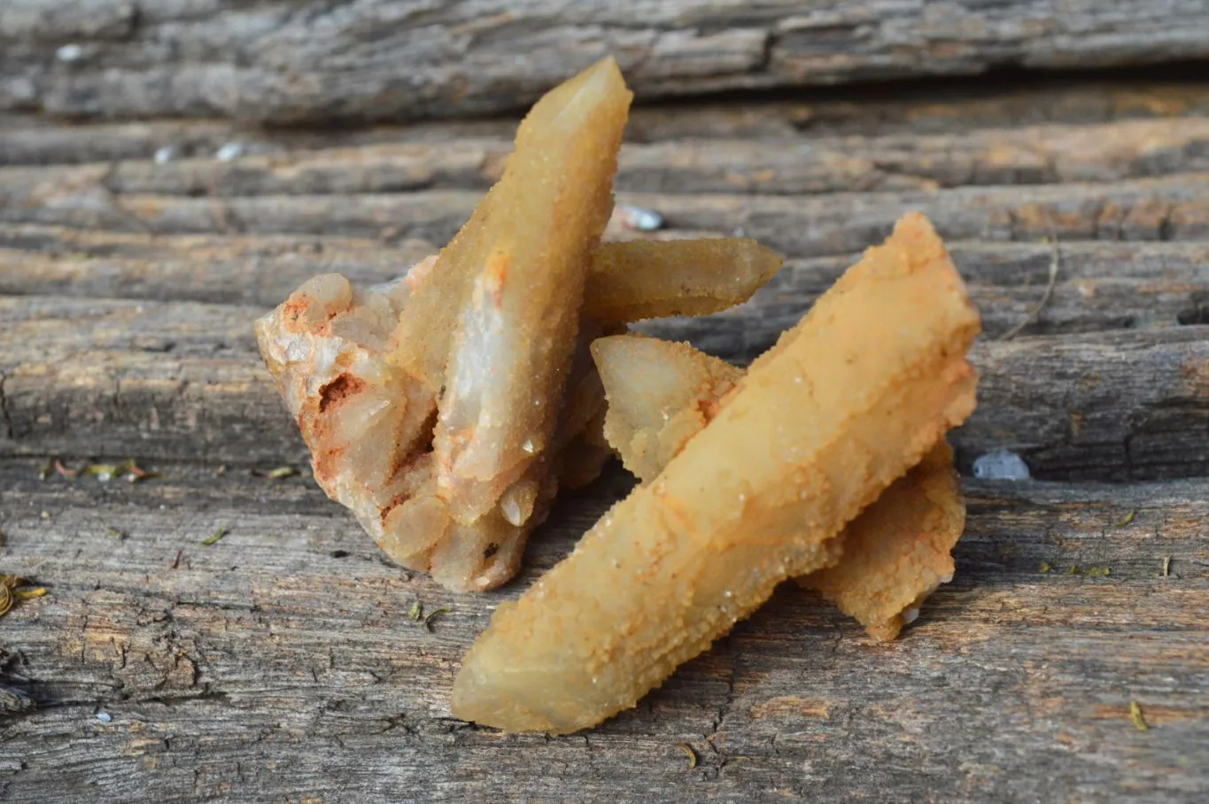 Natural Golden Limonite Fairy Spirit Quartz Finger Clusters x 35 From Boekenhouthoek, South Africa