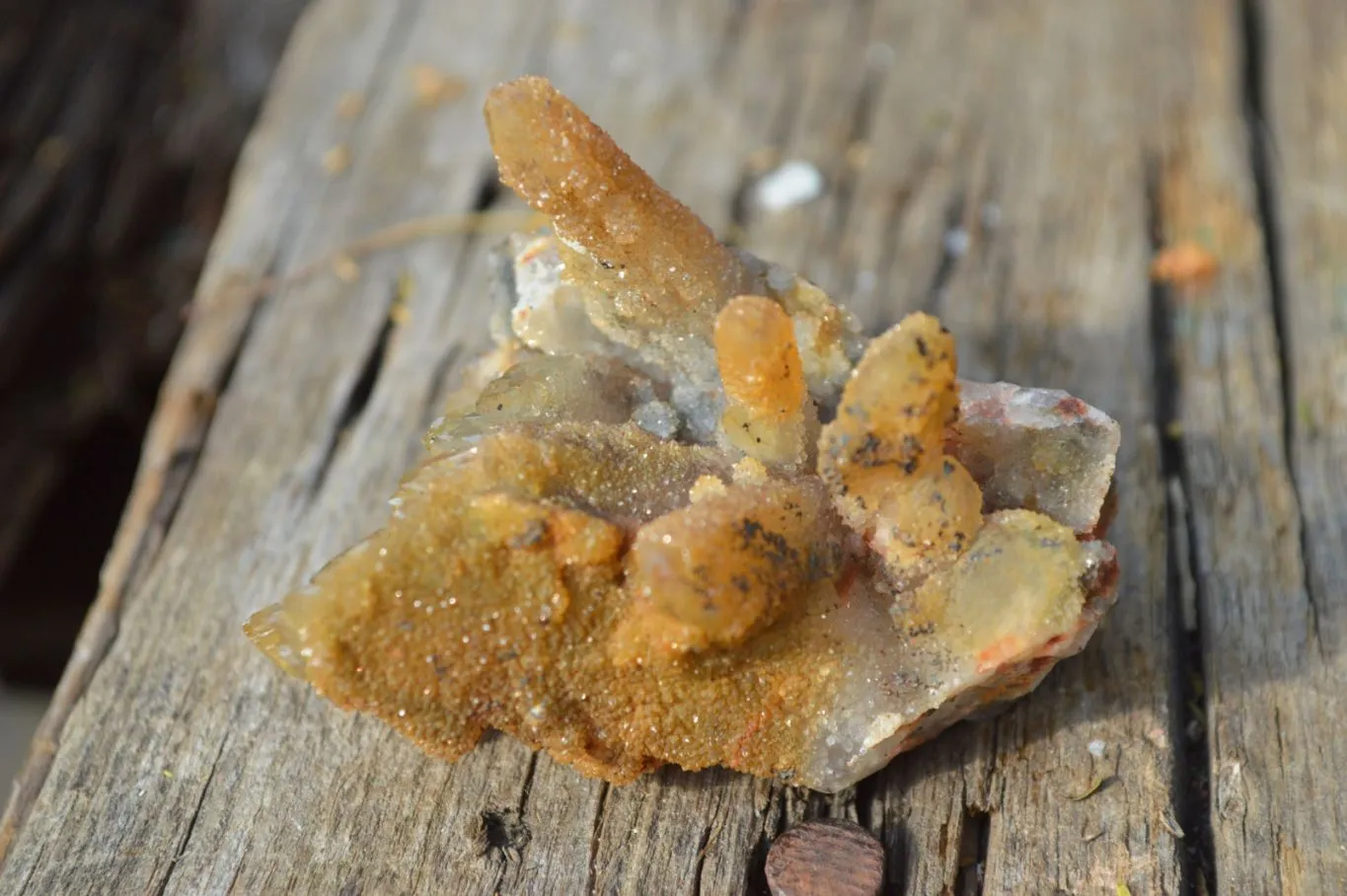 Natural Golden Limonite Fairy Spirit Quartz Finger Clusters x 35 From Boekenhouthoek, South Africa