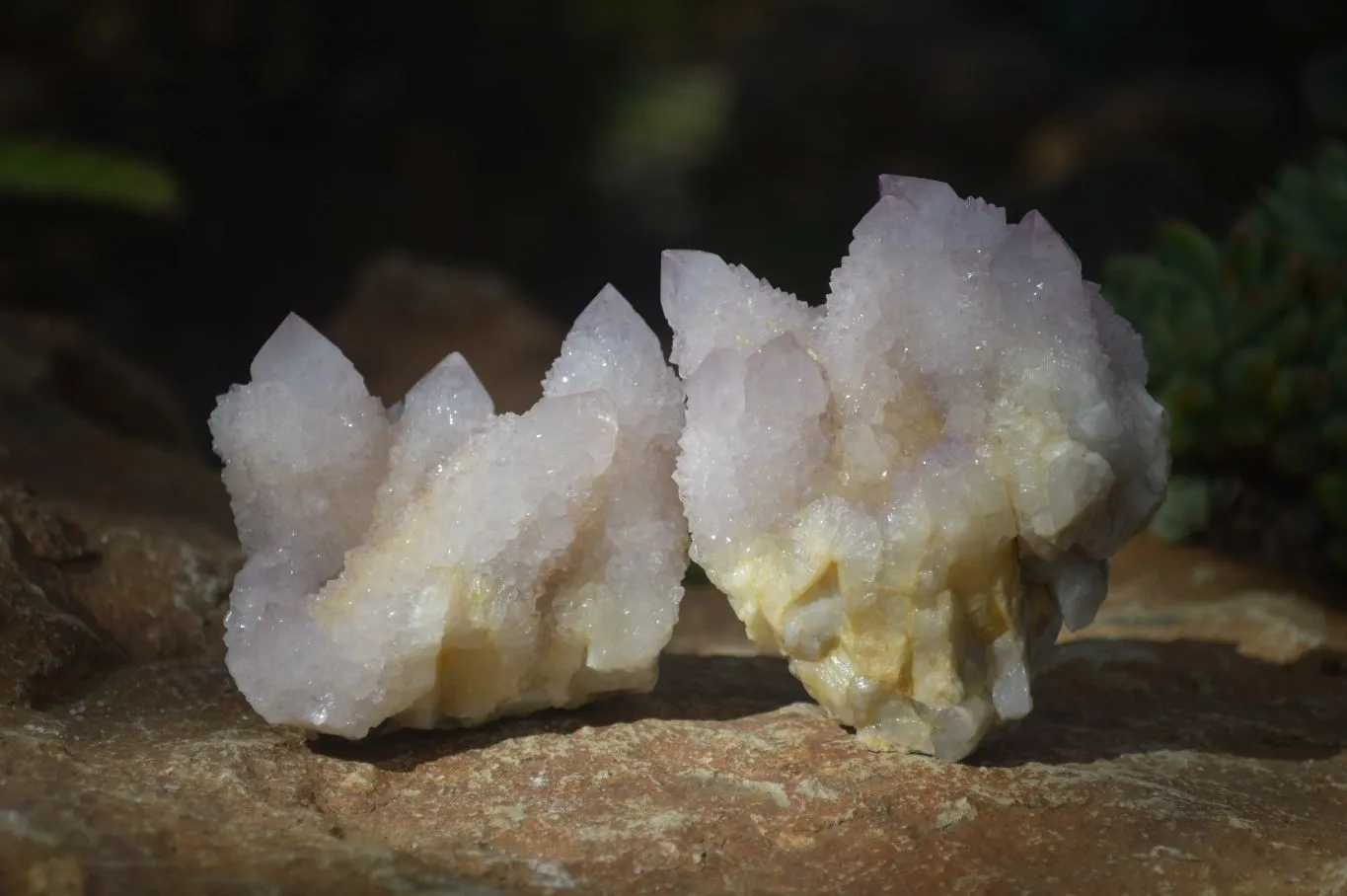 Natural Pale Lilac Spirit Quartz Clusters x 6 From Boekenhouthoek, South Africa