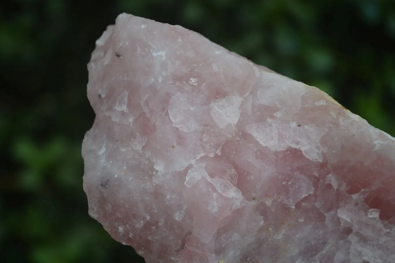 Natural Rough Pink Rose Quartz Specimens  x 4 From Namibia