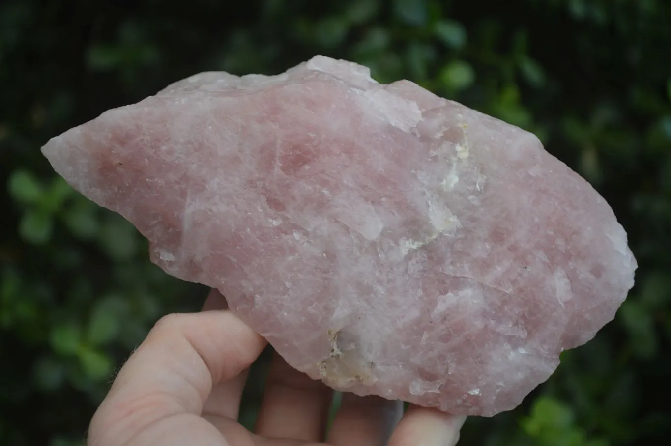 Natural Rough Pink Rose Quartz Specimens  x 4 From Namibia