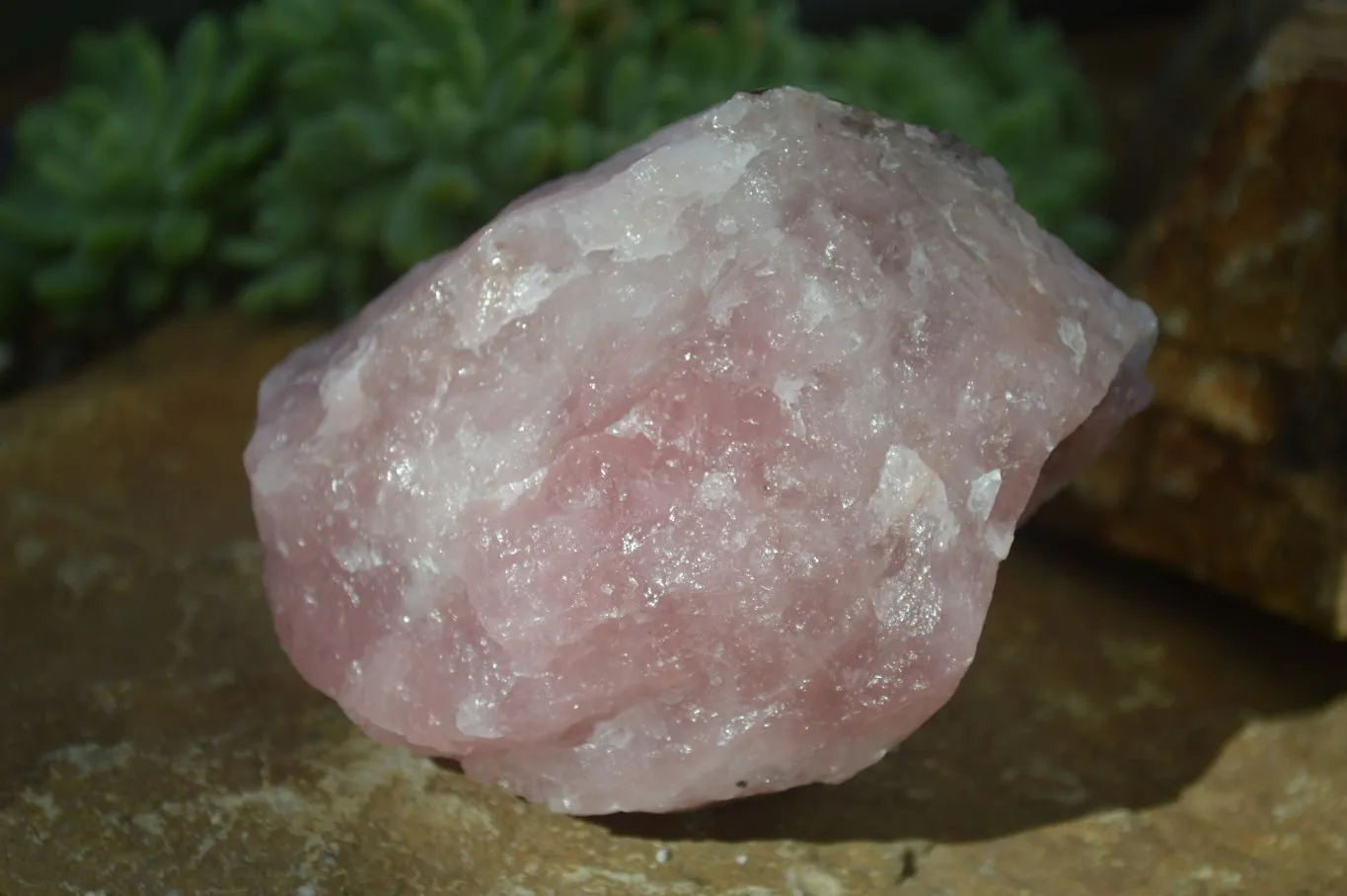 Natural Rough Pink Rose Quartz Specimens  x 4 From Namibia