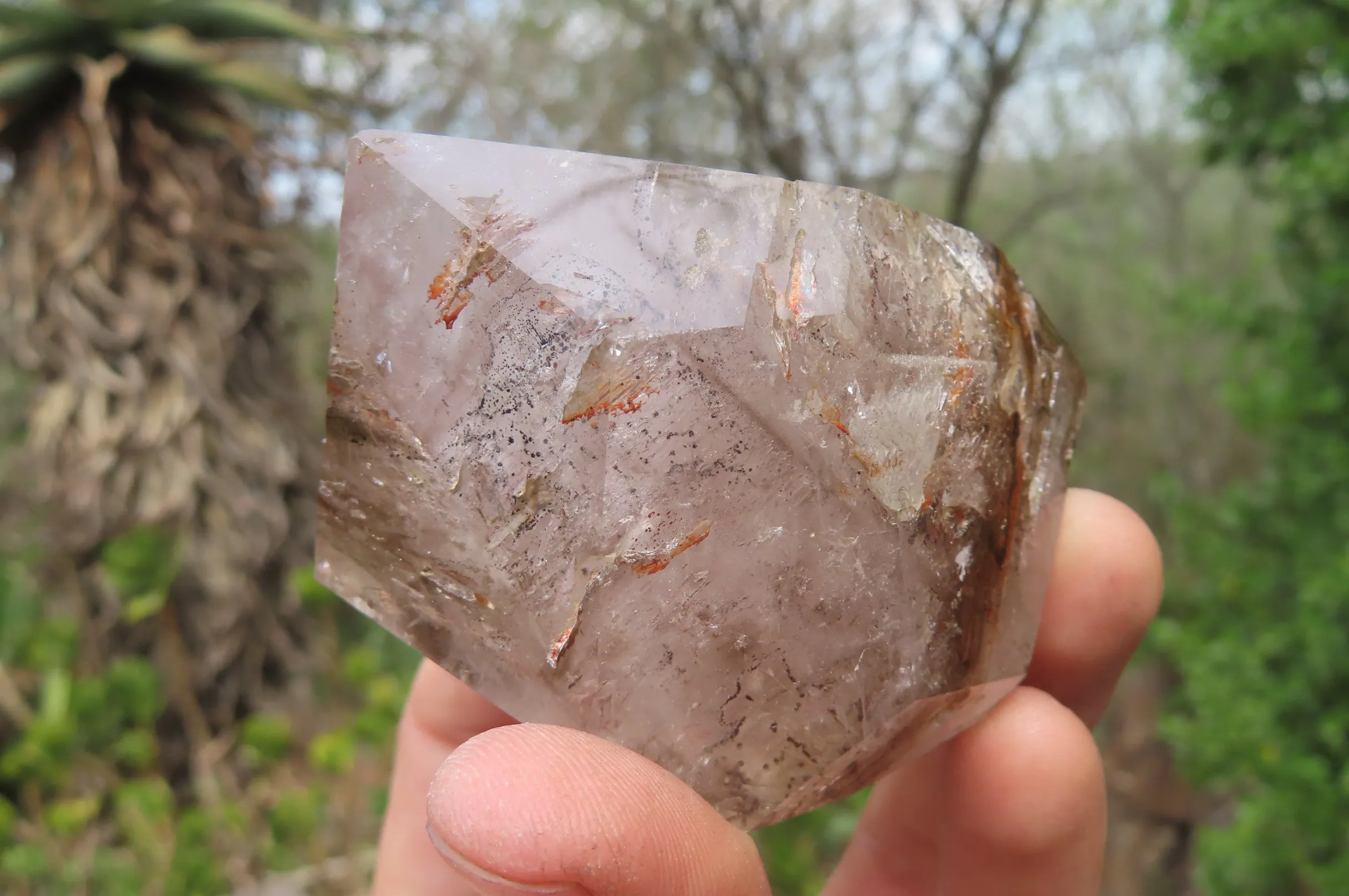 Polished Smokey Window Quartz Crystals x 6 From Madagascar