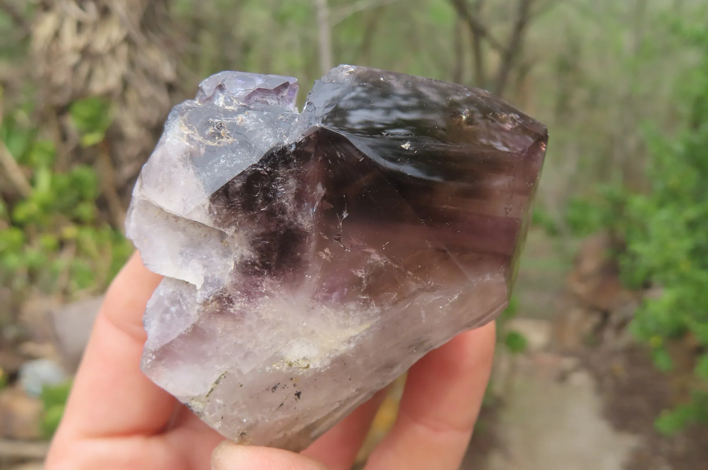 Polished Smokey Window Quartz Crystals x 6 From Madagascar