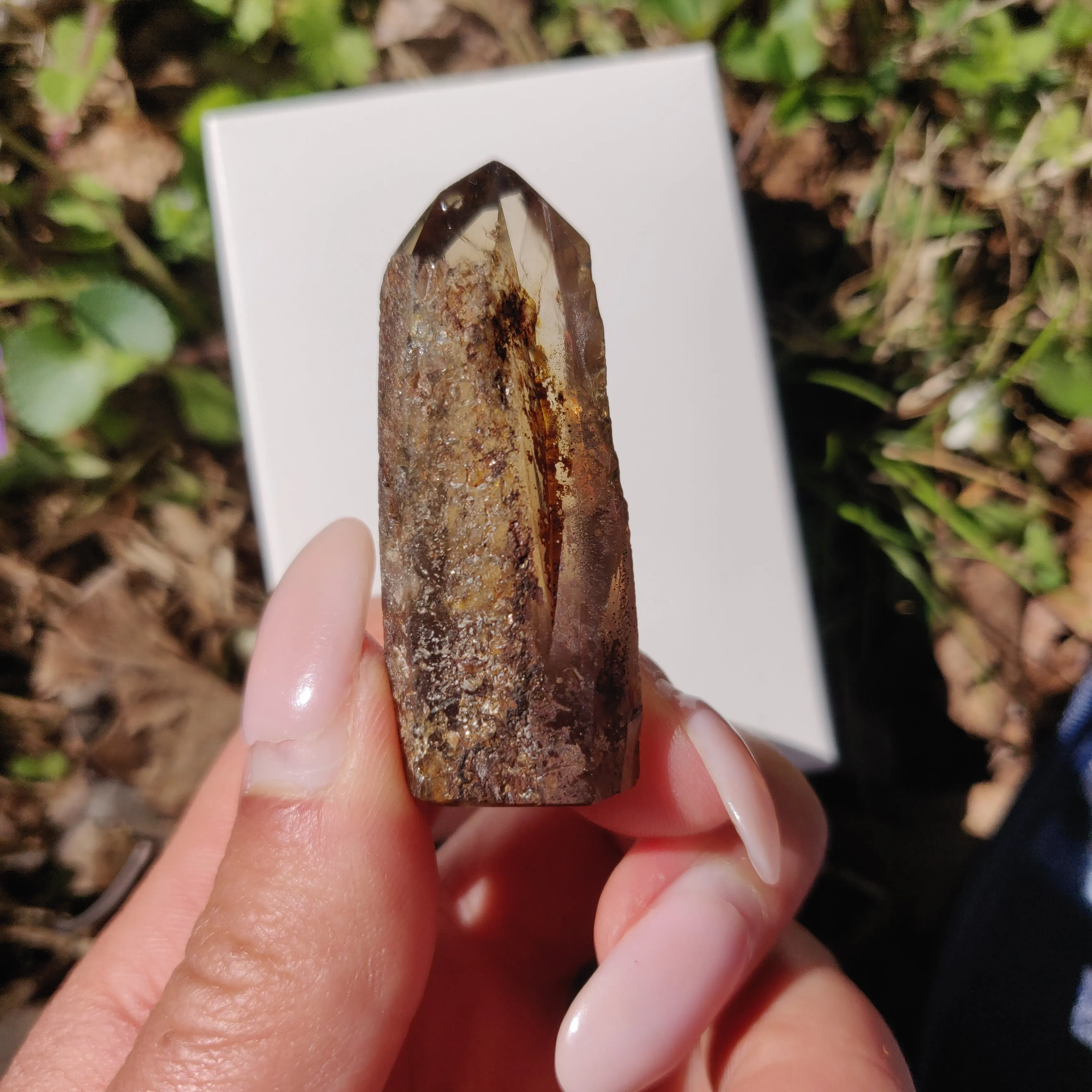 Smoky Garden Quartz Point, Lodolite Point (#12G)