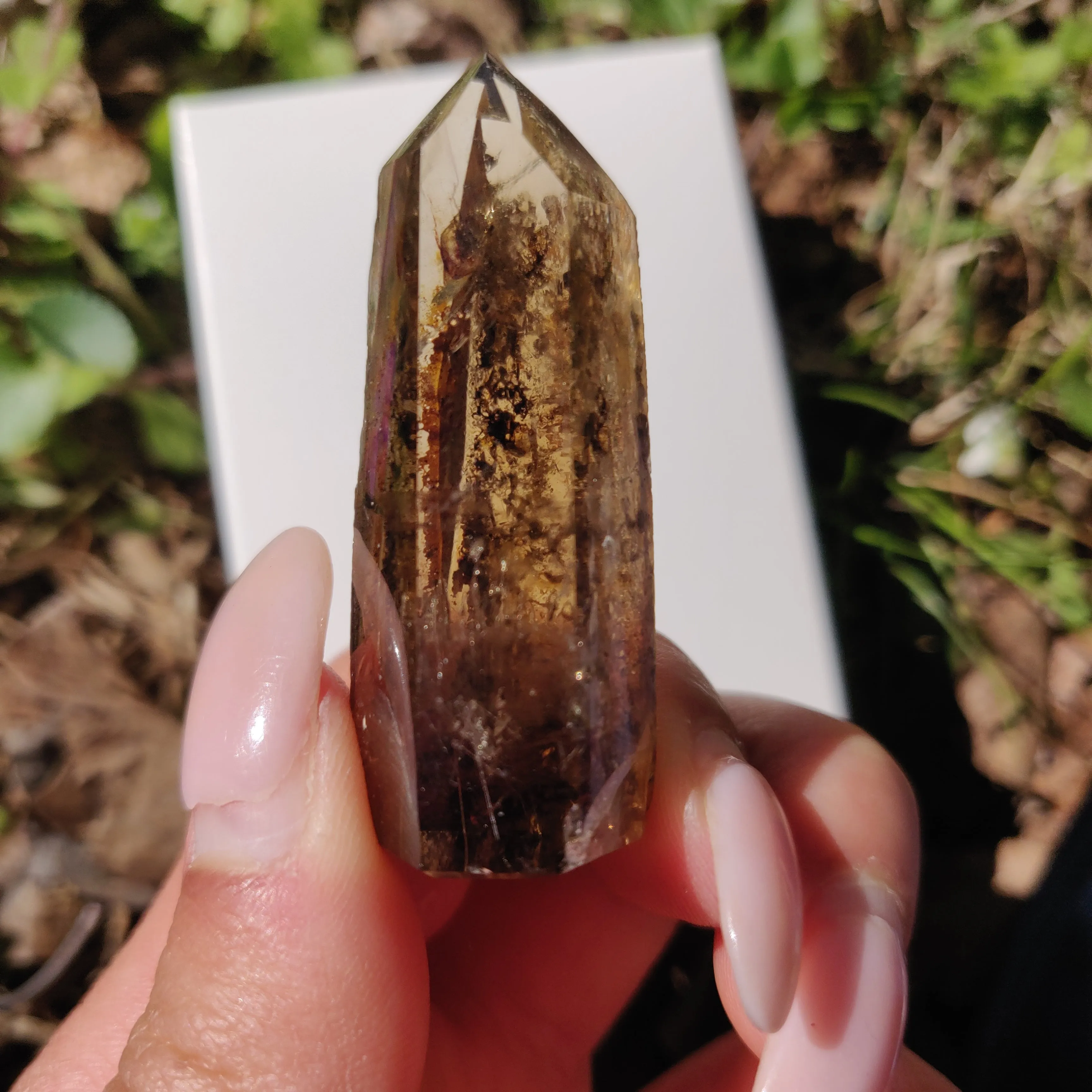 Smoky Garden Quartz Point, Lodolite Point (#12G)