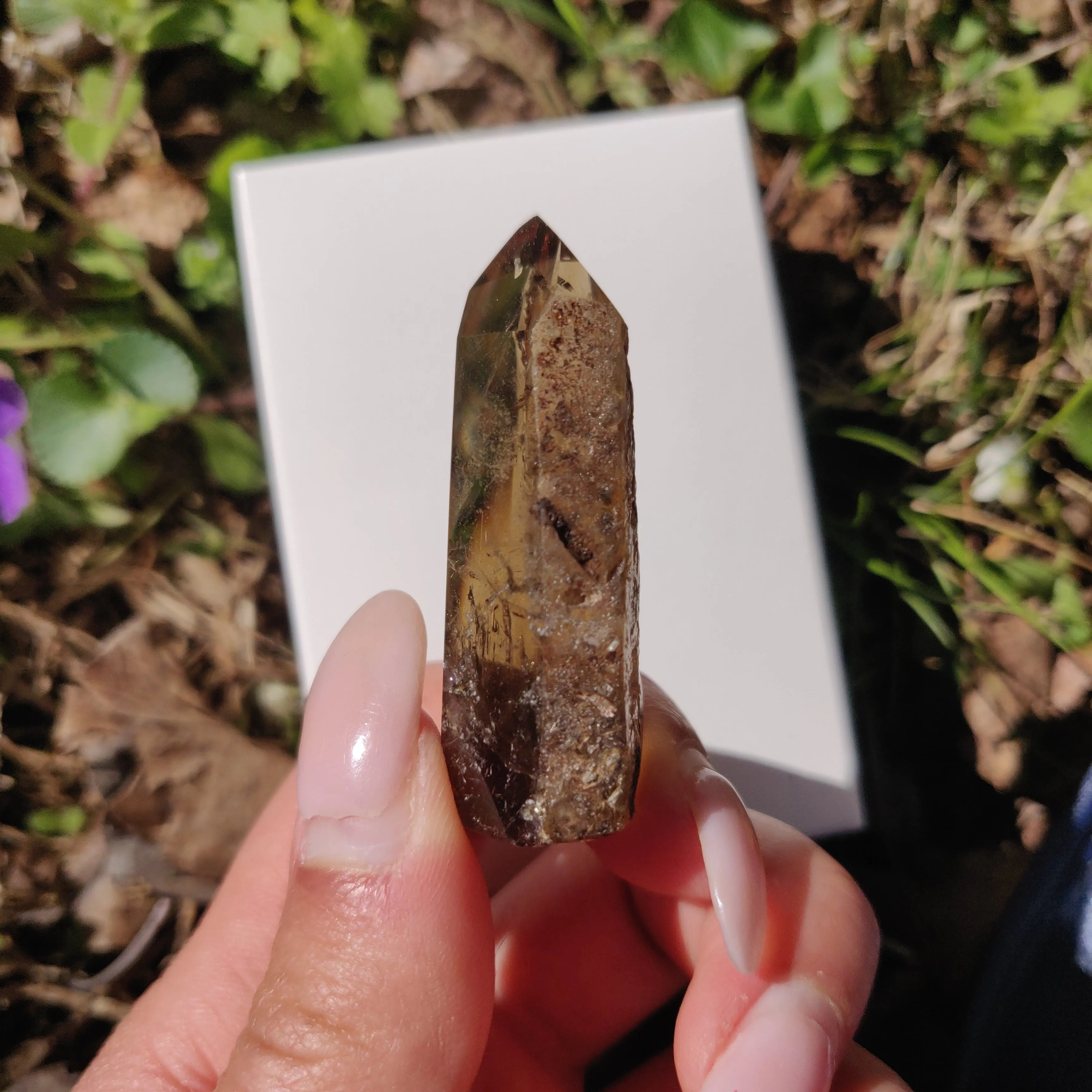 Smoky Garden Quartz Point, Lodolite Point (#12G)