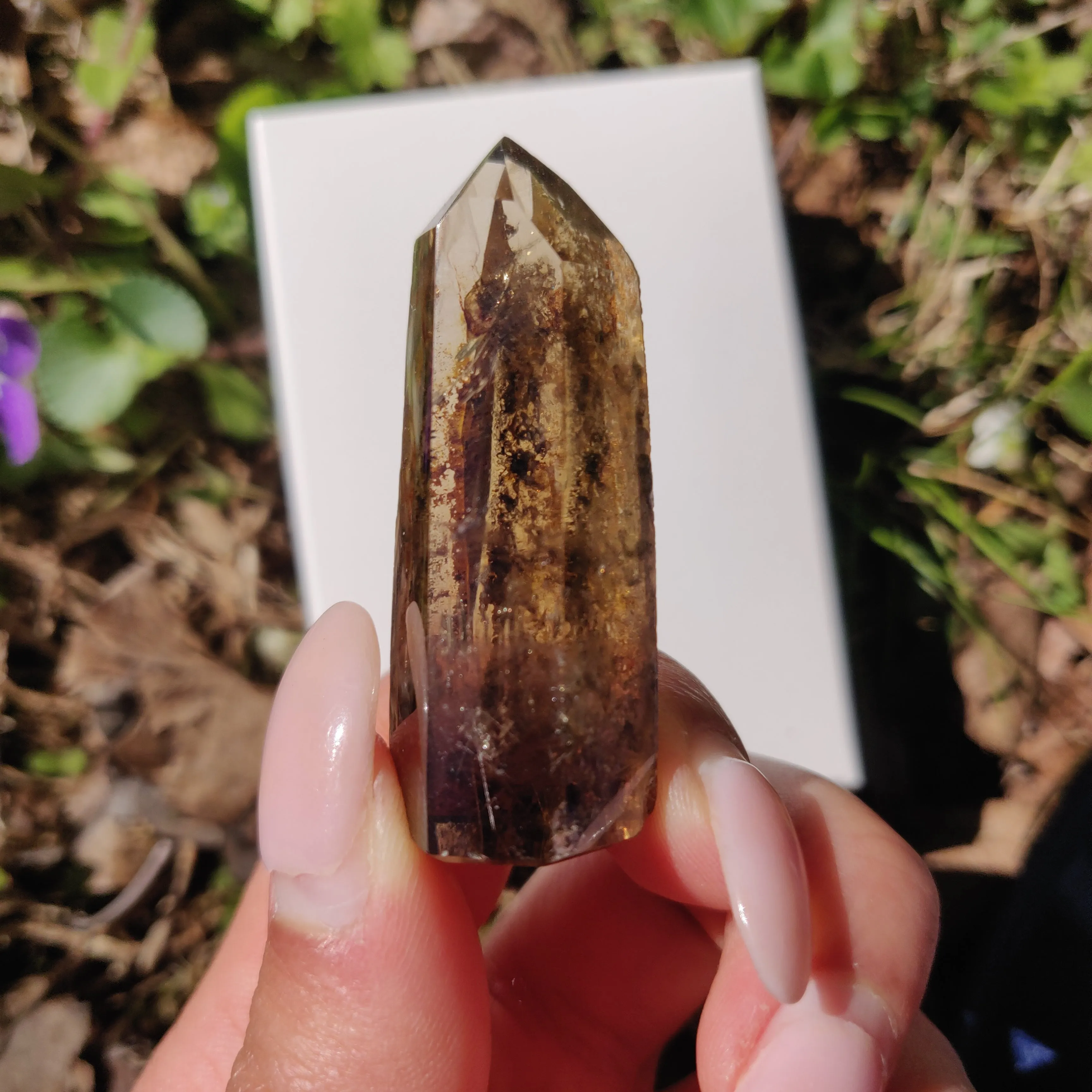 Smoky Garden Quartz Point, Lodolite Point (#12G)