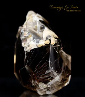 Smoky Manifestation Quartz Golden Rutile's Crystal